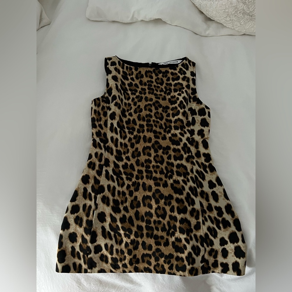 Zara Tan and Brown Leopard Print Sheath Dress